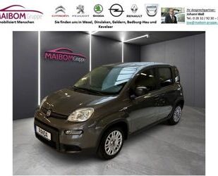 Fiat Fiat Panda GSE Hybrid Tech Paket `SONDERAKTION` Gebrauchtwagen