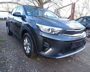 Kia Kia Stonic Edition 7 Gebrauchtwagen