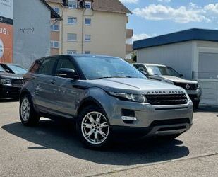 Land Rover Land Rover Evoque 2.2 Pure/Xen/Meridan/Leder/5-Tür Gebrauchtwagen