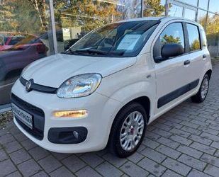 Fiat Fiat Panda Easy Klimaautomatik Beheizb. Frontschei Gebrauchtwagen