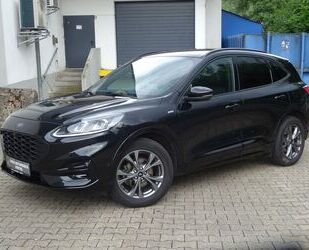 Ford Ford Kuga ST-Line X Gebrauchtwagen