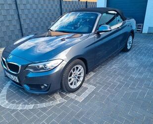 BMW BMW 218d Cabrio - Leder - PDC - M-Sport Lenkrad Gebrauchtwagen