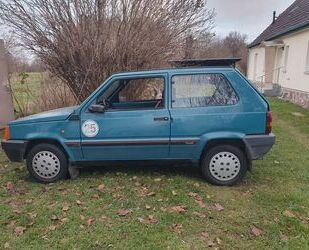 Fiat Fiat Panda 25 km mit neuen TÜV Gebrauchtwagen