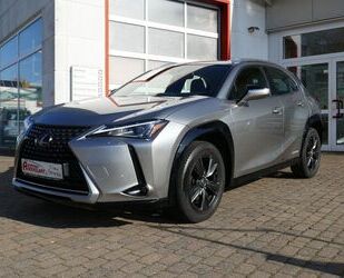 Lexus Lexus UX 250h Launch LED 3 Jahre Garantie Gebrauchtwagen