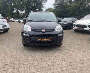 Fiat Fiat Panda Easy Gebrauchtwagen