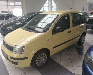 Fiat Fiat Panda 1.2 8V Classic*ERST 65 TKM*CITY-SERO* Gebrauchtwagen