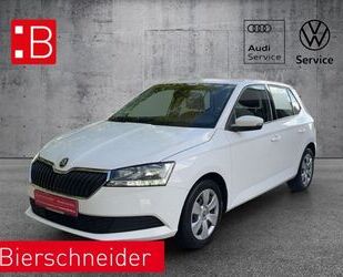 Skoda Skoda Fabia 1.0 MPI Active PDC KLIMA DAB Gebrauchtwagen