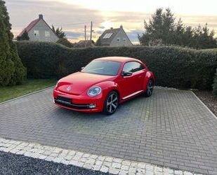 VW Volkswagen Beetle Lim. Sport Motor NEU Gebrauchtwagen