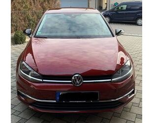 VW Volkswagen Golf 1.0 TSI OPF IQ.DRIVE IQ.DRIVE Gebrauchtwagen