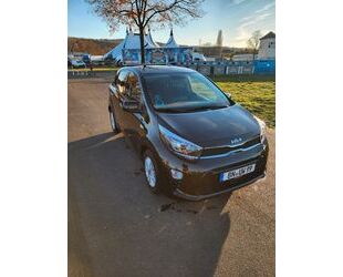 Kia Kia Picanto 1.0 Vision Vision Gebrauchtwagen