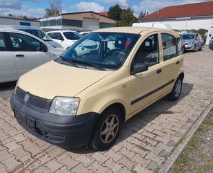 Fiat Fiat New Panda 1.1 8V Active Gebrauchtwagen