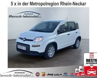 Fiat Fiat Pandina Cross 1.0 DAB Spurhalteass. Verkehrsz Gebrauchtwagen