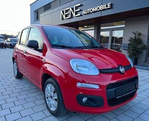 Fiat Fiat Panda 1,2 69 Easy Gebrauchtwagen