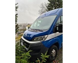 Fiat Fiat Ducato Gebrauchtwagen