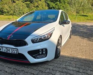 Kia Kia Ceed 1.6 T-GDI GT-Track schöner, tiefer, laute Gebrauchtwagen