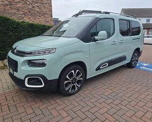 Citroen Citroën Berlingo BlueHDi 130 S&S SHINE XL EAT8 SHI Gebrauchtwagen