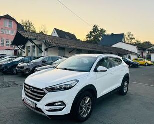 Hyundai Hyundai Tucson blue Trend 2WD Gebrauchtwagen