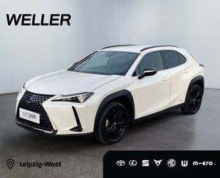 Lexus Lexus UX 250h Style+ Edition *Bi-LED*ACC*CAM*CarPl Gebrauchtwagen