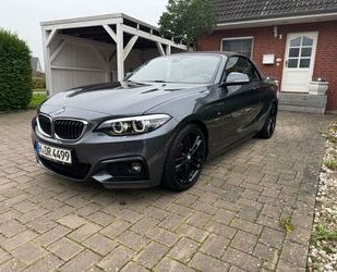 BMW BMW 220i Carbio, M-paket, H/K Sound, Navi Prof Gebrauchtwagen