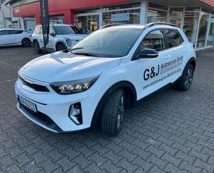 Kia Kia Stonic Nightline Edition Gebrauchtwagen