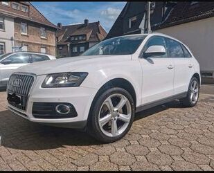 Audi Audi Q5 QUATTRO TDI Pano,20 Zoll, Keyless,PDC Gebrauchtwagen