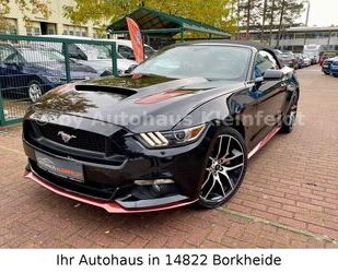 Ford Ford Mustang GT Convertible 5.0 V8|Performance Pak Gebrauchtwagen