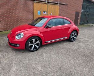 VW Volkswagen Beetle 2.0 TDI DSG Gebrauchtwagen