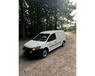 VW Volkswagen Caddy Maxi Kasten 1,6 TDI Gebrauchtwagen