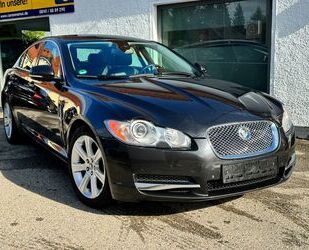 Jaguar Jaguar XF 3.0 V6 Diesel Edition ! Bi-Xenon ! Leder Gebrauchtwagen