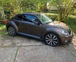 VW Volkswagen Beetle Gebrauchtwagen