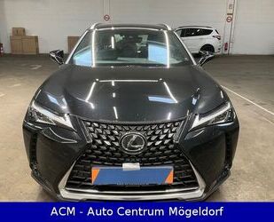 Lexus Lexus UX 200 Launch Edition*ACC*Bi-LED*R-Kamera*Na Gebrauchtwagen