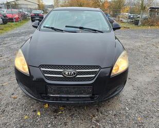 Kia ceed / Ceed Gebrauchtwagen