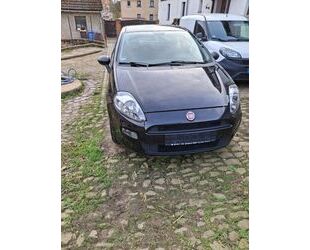 Fiat Fiat Punto 1.2 8V - Gebrauchtwagen