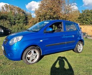 Kia Kia Picanto TÜV SERVICE NEU CARPLAY 8 FACH BERREIF Gebrauchtwagen