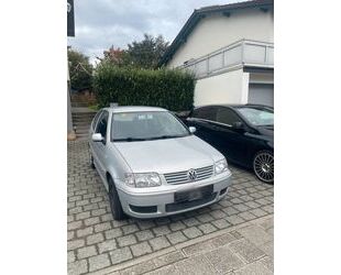 VW Volkswagen VW Polo 6n Gebrauchtwagen