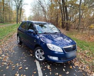 Skoda Skoda Fabia 1.6l TDI 55kW Fresh Gebrauchtwagen