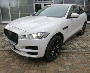 Jaguar Jaguar F-Pace Portfolio AWD PANORAMA KAMERA 20 AC Gebrauchtwagen