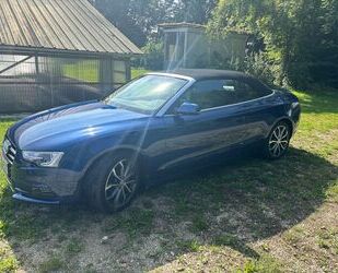 Audi Audi A5 Cabriolet Gebrauchtwagen