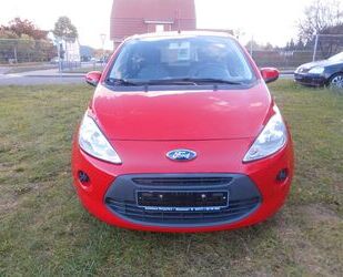 Ford Ford Ka/Ka+ 1.2 Champions Edition Klimaanlage Gebrauchtwagen