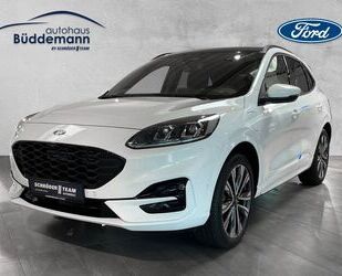 Ford Ford Kuga ST-Line X Gebrauchtwagen