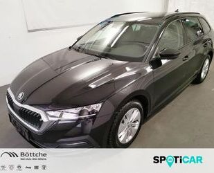 Skoda Skoda Octavia Ambition 2.0 TDI DSG LED FRONT-ASSIS Gebrauchtwagen