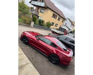 Ford Ford Mustang 2.3 EcoBoost Auto - Gebrauchtwagen