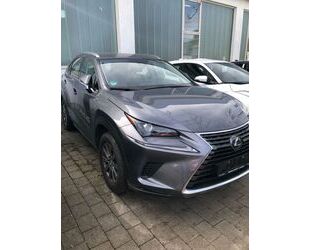 Lexus Lexus NX 300h Gebrauchtwagen