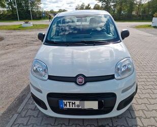 Fiat Fiat Panda Gebrauchtwagen