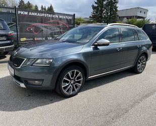 Skoda Skoda Octavia 2,0 TDI Scout 4x4 Autom.CarPlay+18 Z Gebrauchtwagen