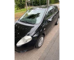 Fiat Punto Gebrauchtwagen