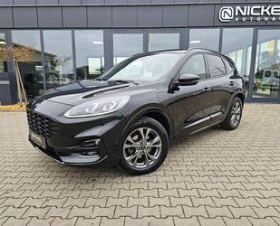 Ford Ford Kuga Plug-In Hybrid ST-Line X*HuD*Pano*Acc*E- Gebrauchtwagen