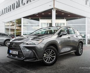 Lexus Lexus NX 350h E-CVT Comfort / NETTO POSSIBLE Gebrauchtwagen