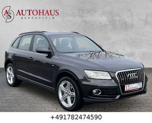 Audi Audi Q5 2.0 TDI quattro MEMORY PANO BI-XE SHZ PDC Gebrauchtwagen