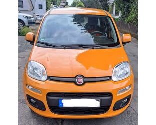 Fiat Fiat New Panda 1.2 8V LOUNGE LOUNGE Gebrauchtwagen